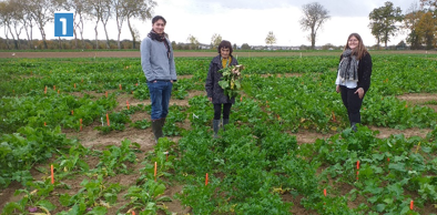 BrasExplor tweet media