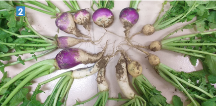 BrasExplor tweet media