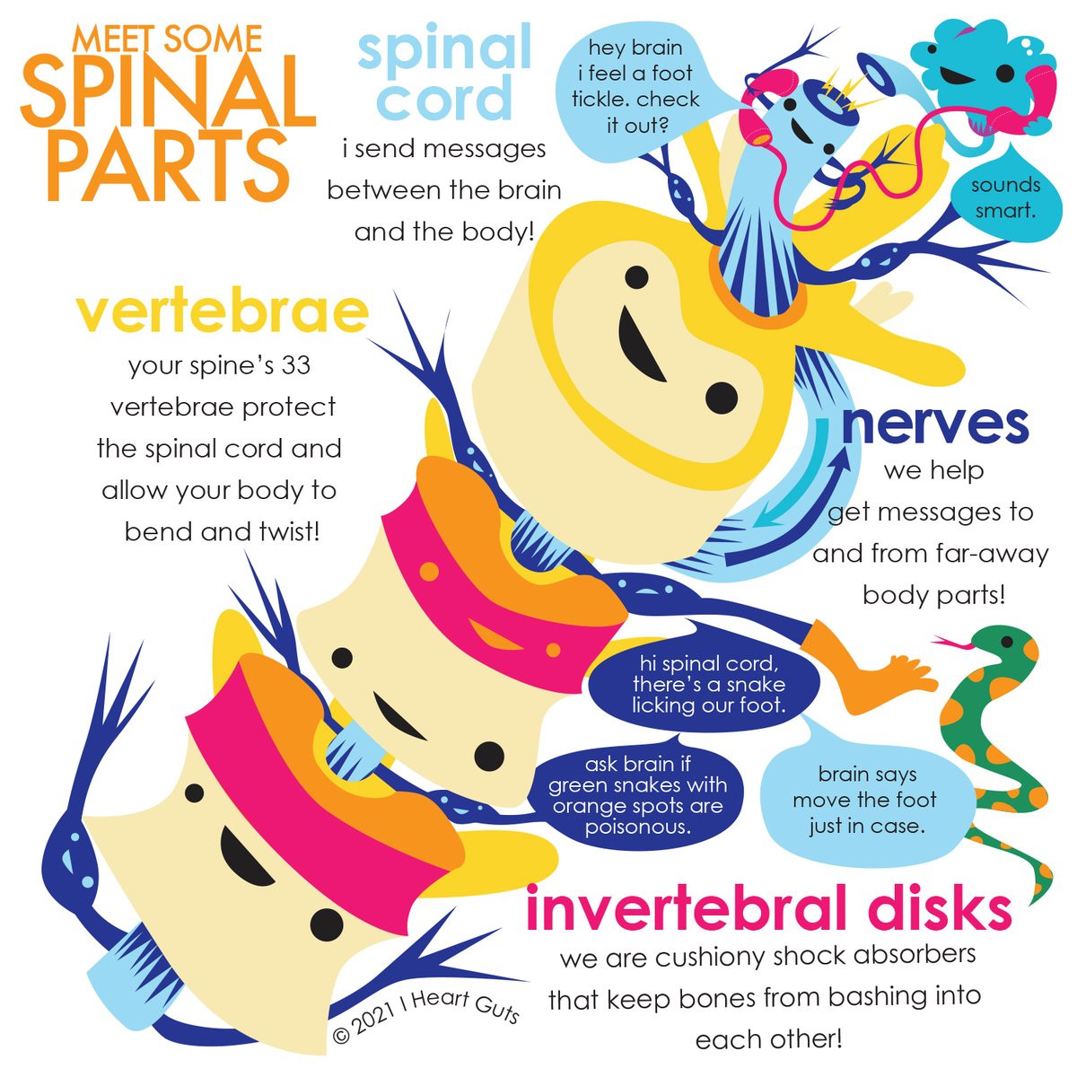 iheartguts's tweet image. Make no bones about it: your spine will never back down. #spinalcord #spine #stretch