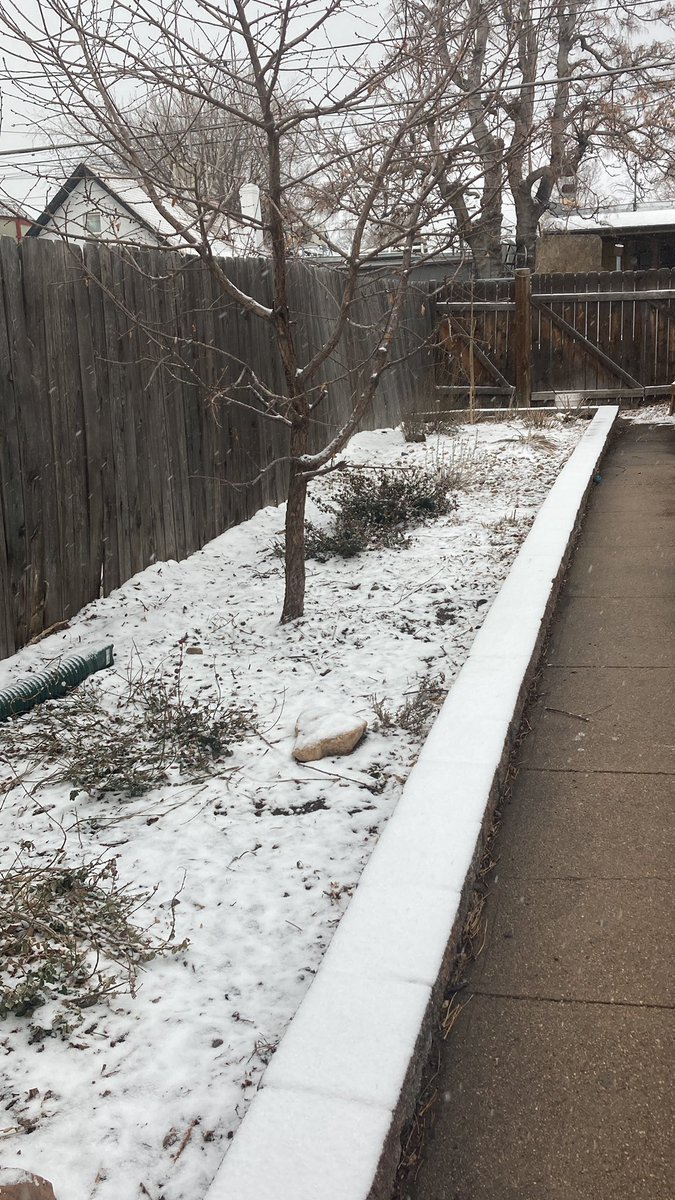 Beth ‘order ALERTA’ Reddy tweet media