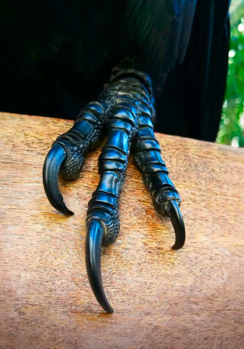 JiggeryJackMac's tweet photo. The claws of the Raven are a proper gothic work of art.
#tuesdayvibe https://t.co/IIS2H7fRk7