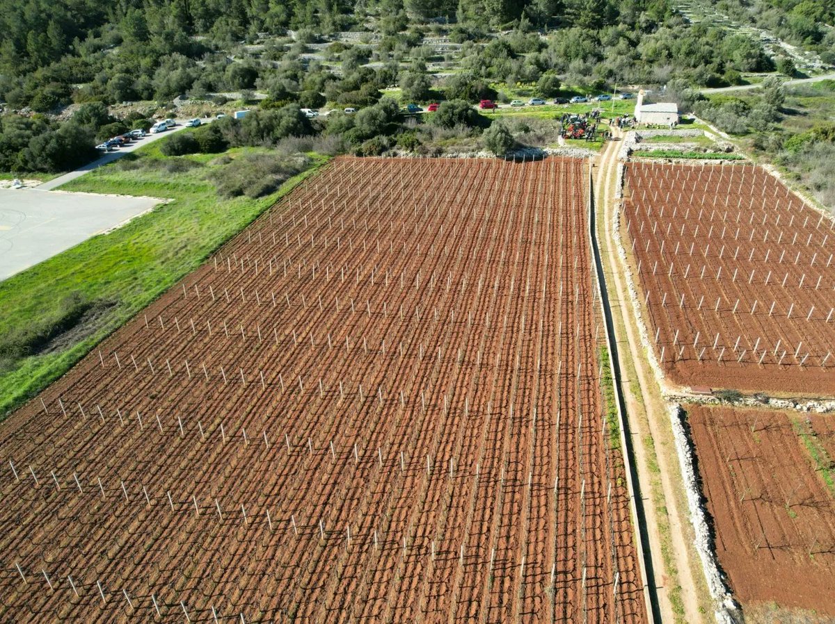 DigitalAgro_eu's tweet photo. Predstavljamo našeg partnera za prostorno snimanje Jurica Knego, za područje južne Dalmacije (a i šire). Identificirajte kritične točke u vašem nasadu, ugovorite već danas naše usluge! Obratite nam se s povjerenjem!
#DigitalAgro #PametnaPoljoprivreda https://t.co/Qc8Z34Stmb