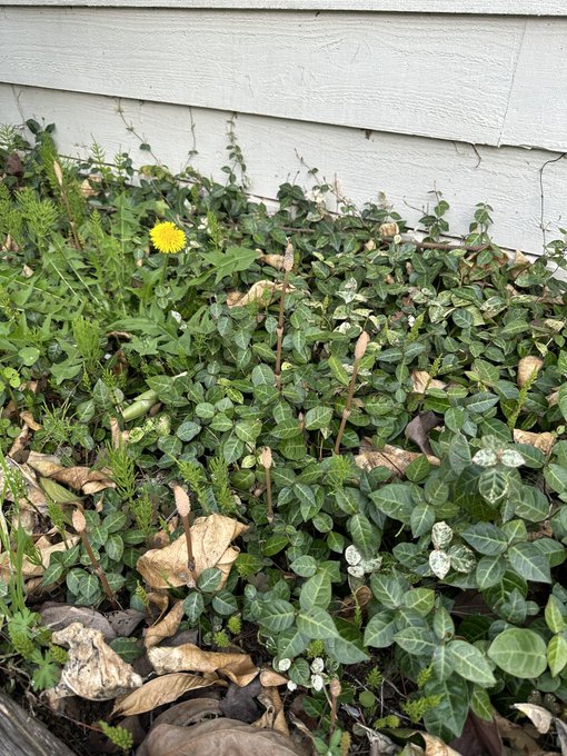 Twitterのコスプレ画像6