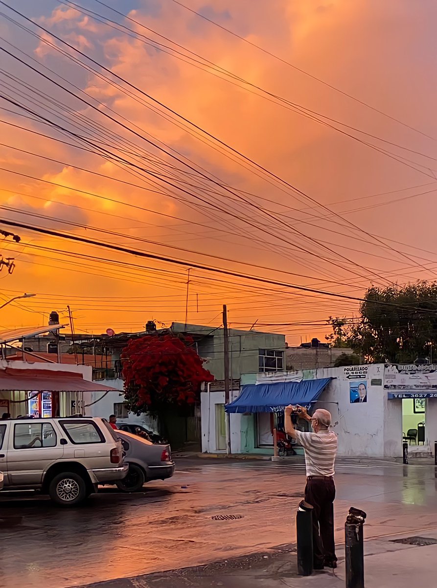 Lord Pepe tweet media