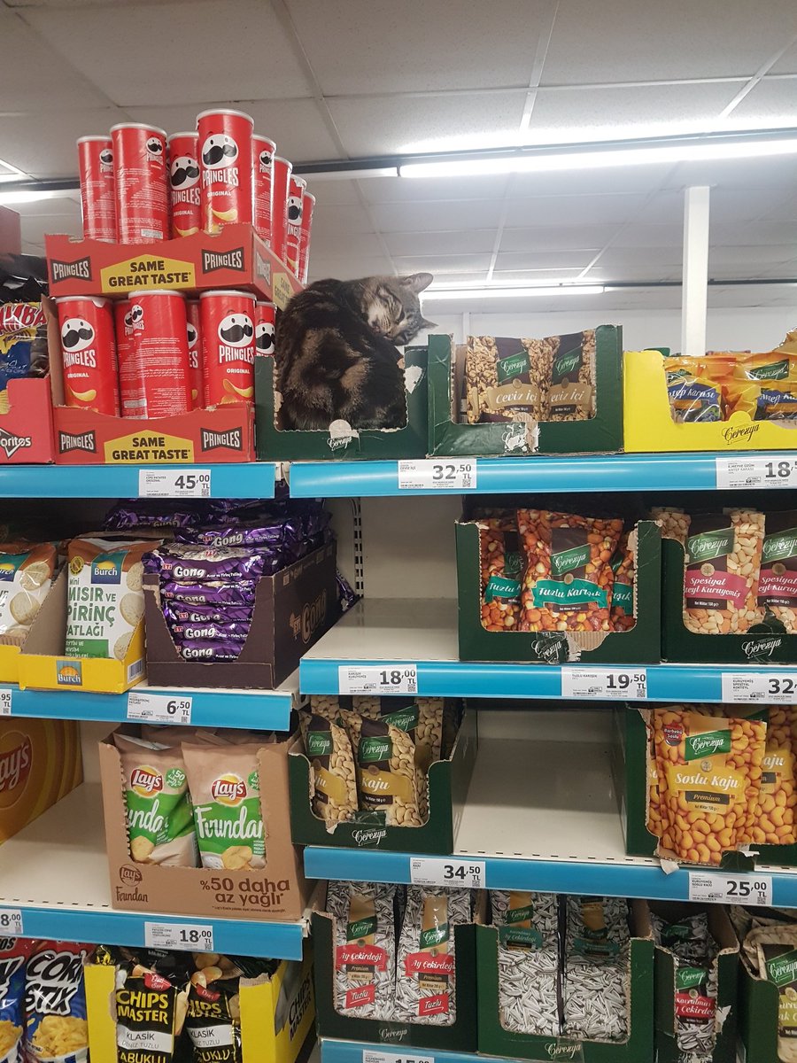 Her daim içerde, sorunca giriyor engelliyemiyoruz diyorlar.