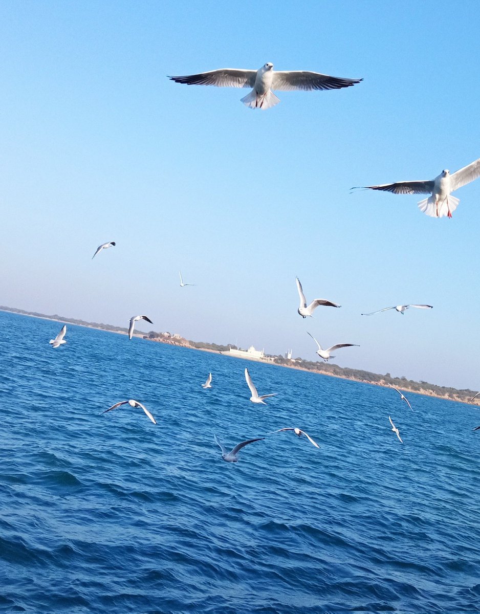 vns29's tweet photo. @adhirasy https://t.co/O62Qm6MHD1