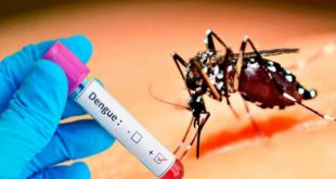 #CubaPorLaVida:Científicos de Cuba iniciaron estudios preclínicos de vacuna contra el dengue Dicho candidato vacunal contra el dengue que desarrolla Cuba tiene una  plataforma tecnológica segura y está basado en proteínas recombinantes,una plataforma tecnológica muy segura🇨🇺