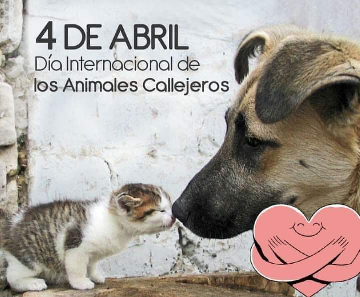 fhercho_87's tweet photo. No los abandonen banda 😪 https://t.co/vsSs2cKu3U