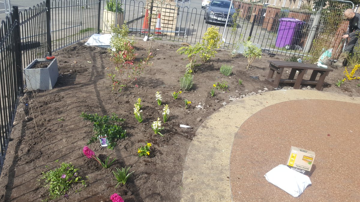 @KhanOdita @AHNGardenCentre @merseyforest @CllrLHarvey @KimJohnsonMP @LCRMayor @LpoolCityRegion @TomLogan00 @srcdoyle A hive of activity as a load of mature spring bulbs go in with a few larger bushes and even a Mediterranean olive! Need some rain before Thursday's opening.