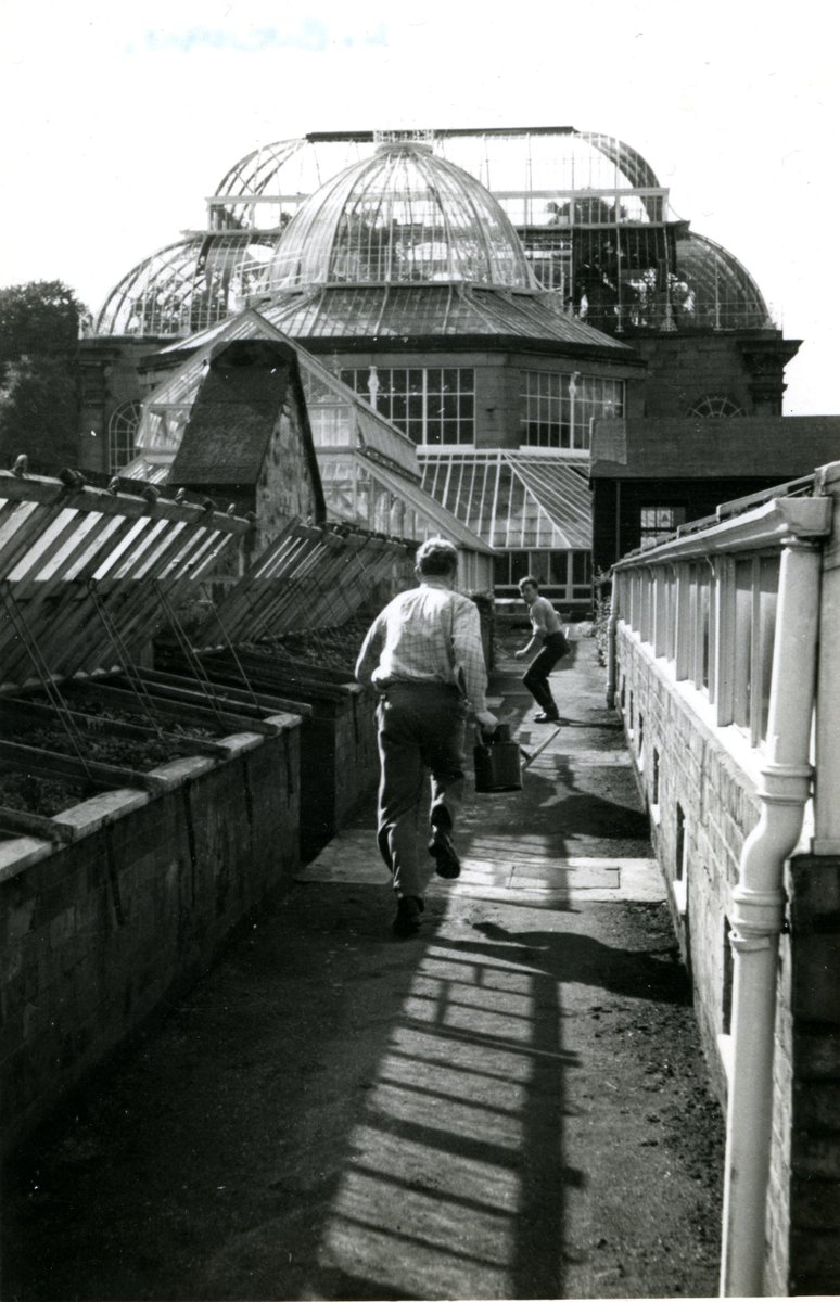 Today's @ARAScot #Archive30 theme is #SportArchives- here's some behind the scenes water (can) sport @TheBotanics in the 1950s with horticulturists Lawrie Buchan and John Bryan showing it wasn't all work and no play... 🙂