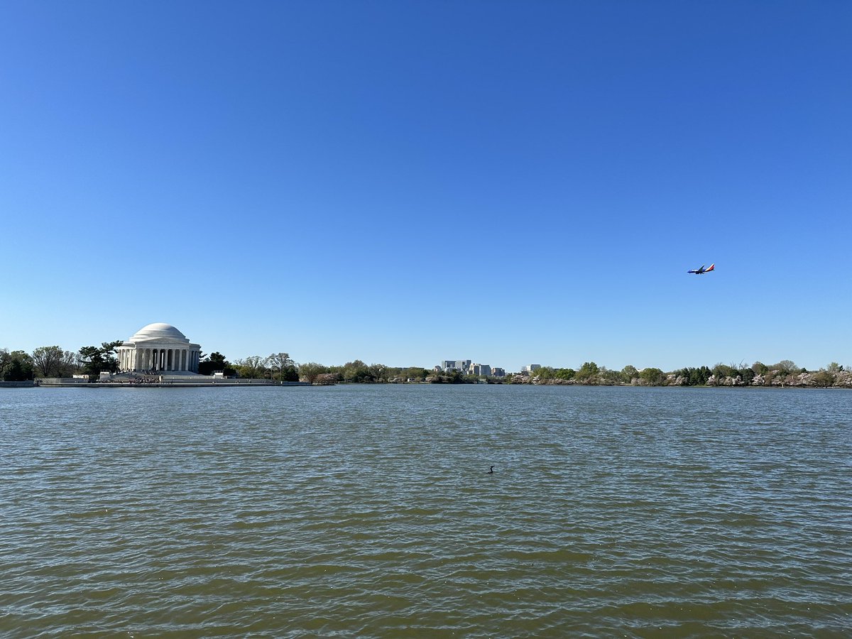 Jacobhartranft1's tweet photo. Gorgeous day in dc! @SouthwestAir https://t.co/Fgy04JTXsN