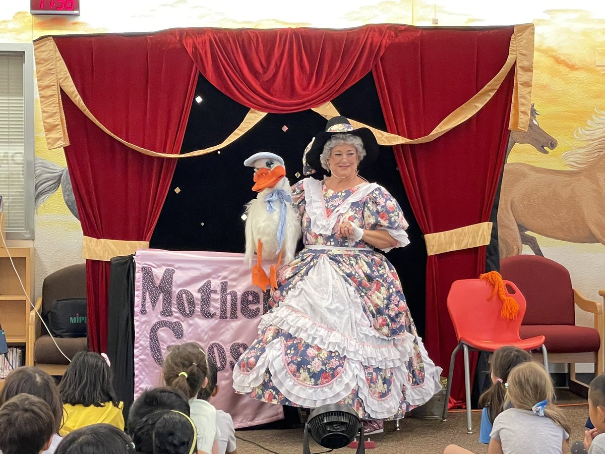 Sommer Library tweet media