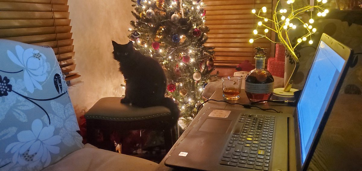 KyleToucher's tweet photo. LIFE RETURNS 

Chugging its way upstream, thanks to all of you, and our righteous crew at @crystallakepub 

The other photo was taken the night I began the manuscript on 12-22-22, with Elvira the seven-toed wonder cat, and a bottle of Blantons.

#LifeReturns https://t.co/6hTFRznMd6