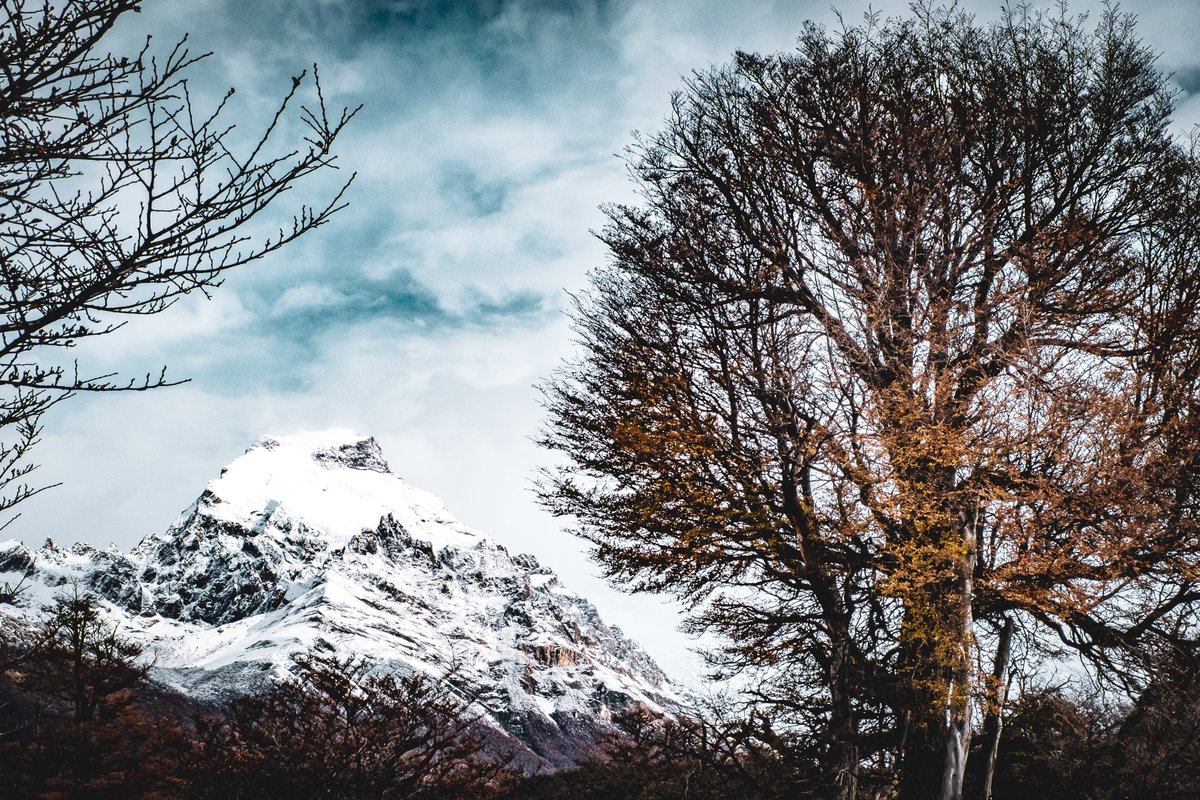 📷 El Chaltén - Argentina 
📷 FujiFilm XSeries #fujifilm_xseries #Patagonia #TurismoArgentina #argentinaenimagenes #photographylovers