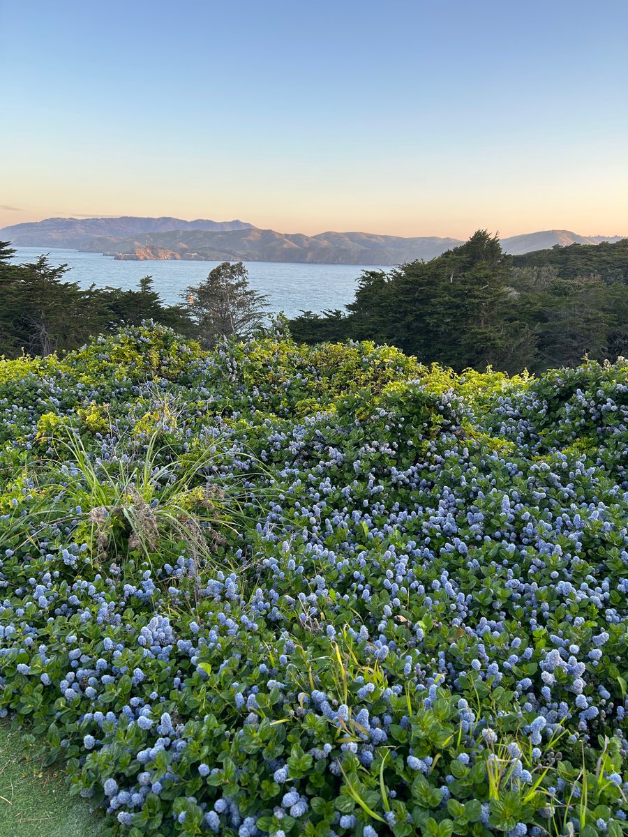 This is where I work. So grateful. Come join my team. We are looking for post-doctoral scholars and research specialists. @SFVAMC @ucsfmicrobiome @UCSF nayak.ucsf.edu/positions