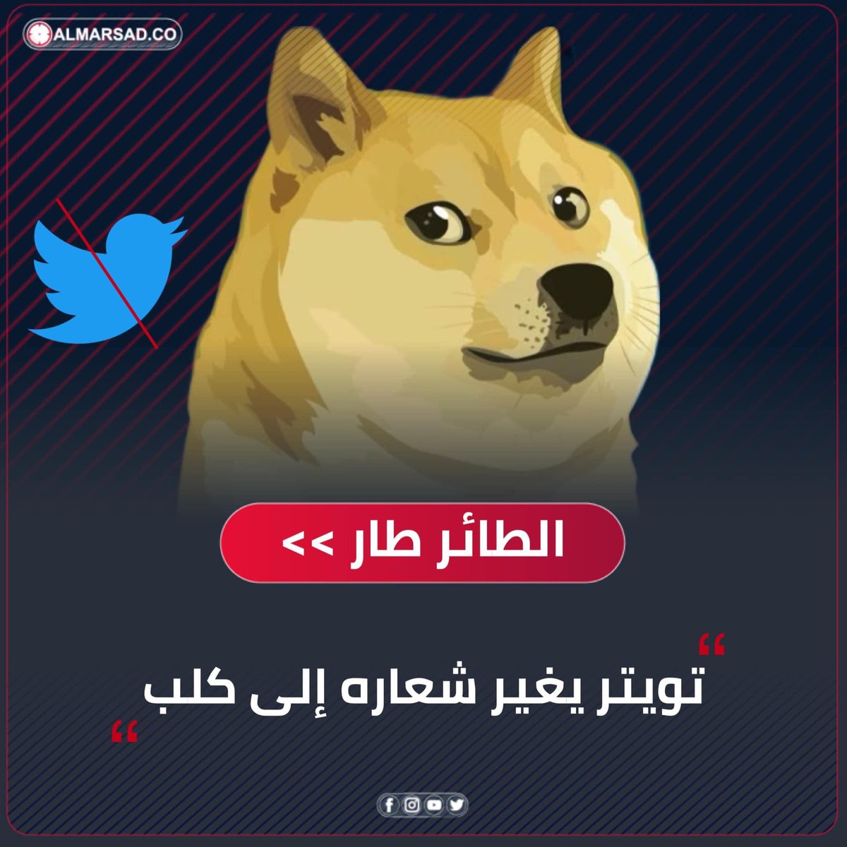 Omar_Rotana2's tweet photo. خبر | موقع تويتر يغير شعار الموقع إلى كلب من سلالة "تشيبا إينو" المستخدم كذلك كشعار لعملة دجكوين المشفرة عوضًا عن شعار الطائر الأزرق . https://t.co/6KW4igIr87