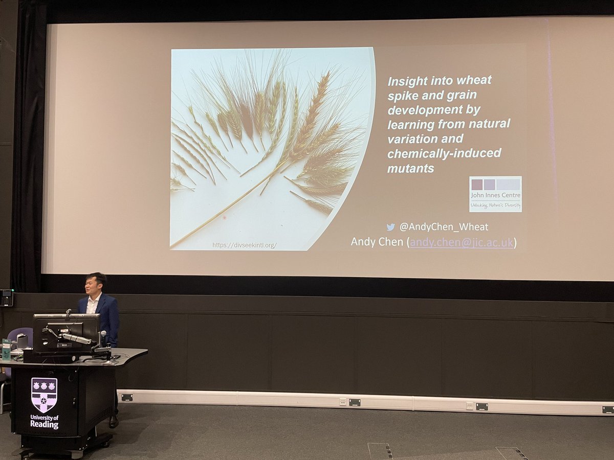 Monogram Network tweet media