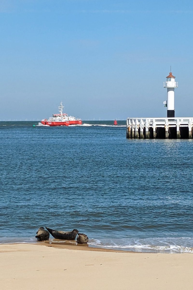 Kris Lowet tweet media