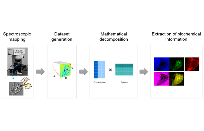 [Zoom sur une publication #LABEXSIGMALIM 📢] Une nouvelle méthodologie pour l’#imagerie cellulaire hyperspectrale et la segmentation utilisant la microspectroscopie #Raman anti-Stokes cohérente multiplex (MCARS)

👉 Pour en savoir plus : lnkd.in/gFzGyk9v

<a href="/InstitutXLIM/">Institut XLIM</a>
