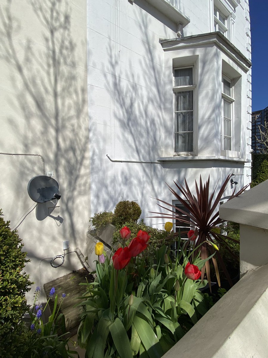 Kate Hall tweet media