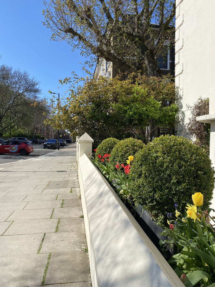 Kate Hall tweet media