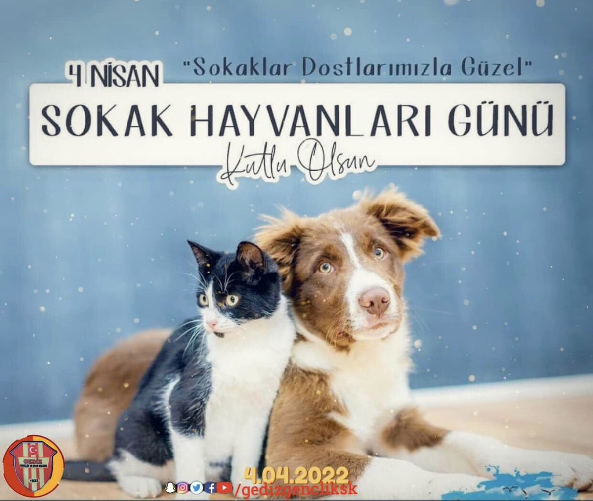 gedizgencliksk's tweet photo. Rabbim der ki; “Hayvanlar benim sessiz kullarımdır, şimdi zulme susuyorlar ama hesap günü konuşacaklar.” Lütfen onlardan sevgi ve merhametimizi esirgemeyelim. 🐶🐈 Hayvanlara merhamet göstermeyen insanlara hiç merhamet göstermez. 
#4nisansokakhayvanlarıgünü

Gediz Gençlik SK 1923 https://t.co/xP2064XmL9