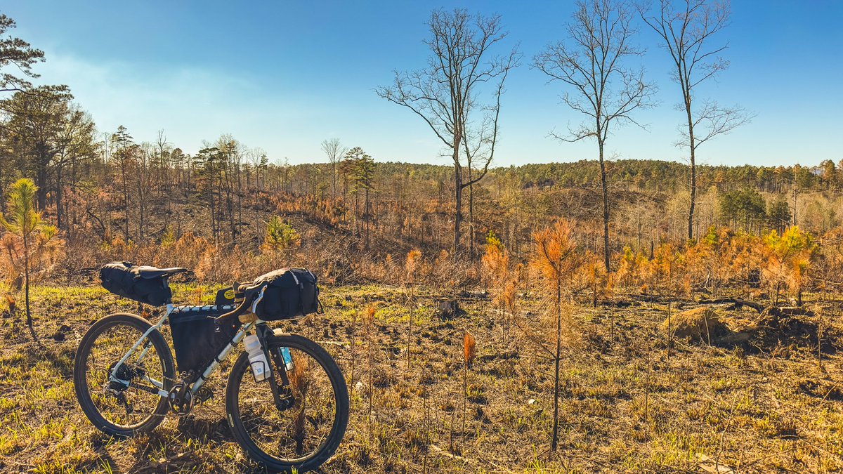 Velo_Orange's tweet photo. In Nic's third and final installment of his Southern Peaks Bike Tour, he goes over his bike's setup, gear, and what worked for him to complete his bikepacking tour!

https://t.co/tqwRgEdSZ7 https://t.co/N1MecULcBr