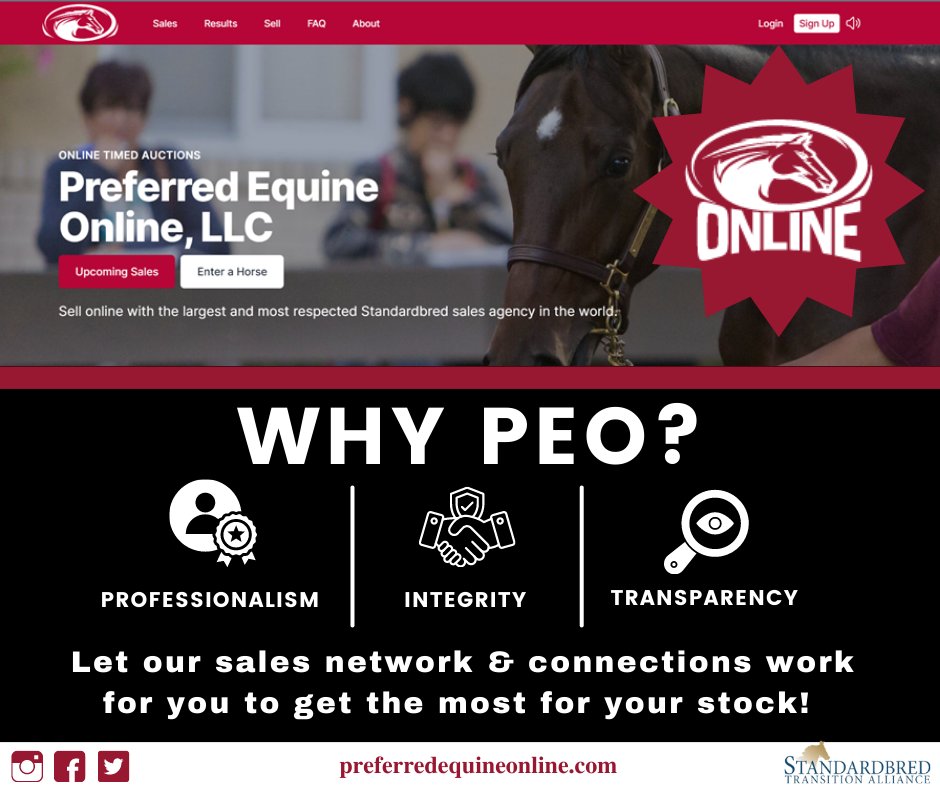 Preferred Equine tweet media