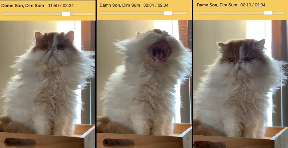 Palette Knife ✥ 🎨🔪 (@palettestaches) on Twitter photo 