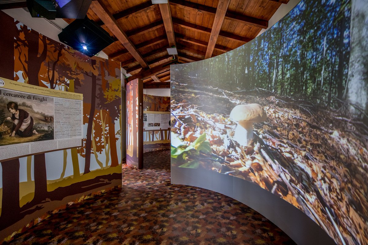 parmawelcomeoff's tweet photo. 📍Il nuovo Museo del Fungo di Borgotaro e Albareto è assolutamente da visitare per gli amanti dei funghi, ma non solo!
Un nuovo gioiello dei Musei del Cibo di Parma 🍄
👉https://t.co/85b3JMo4Er

#Parmacityofgastronomy #museidelcibo #parma #fungoporcino https://t.co/TmnUO3yXmx