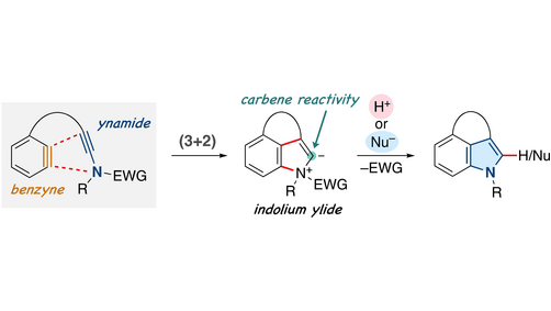 angew_chem's tweet photo. Intramolecular Ynamide-Benzyne (3+2) Cycloadditions (Hiroshi Takikawa and co-workers) @KUGousei @univkyoto https://t.co/OgSGYVuj7B https://t.co/uRdnolntUI