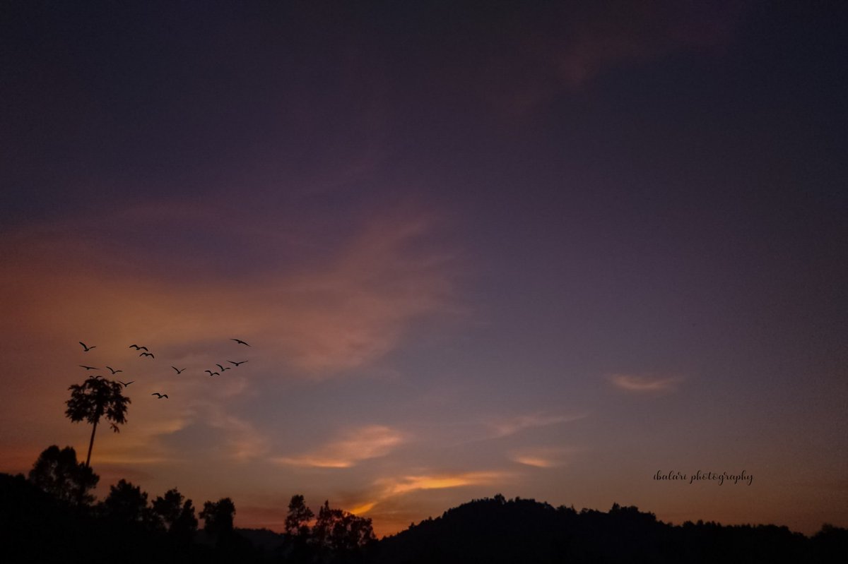 Ibavanessa1's tweet photo. #sunset #SunsetLovers #sunsetphotography #sunsetsky https://t.co/9wlCAUEtRW