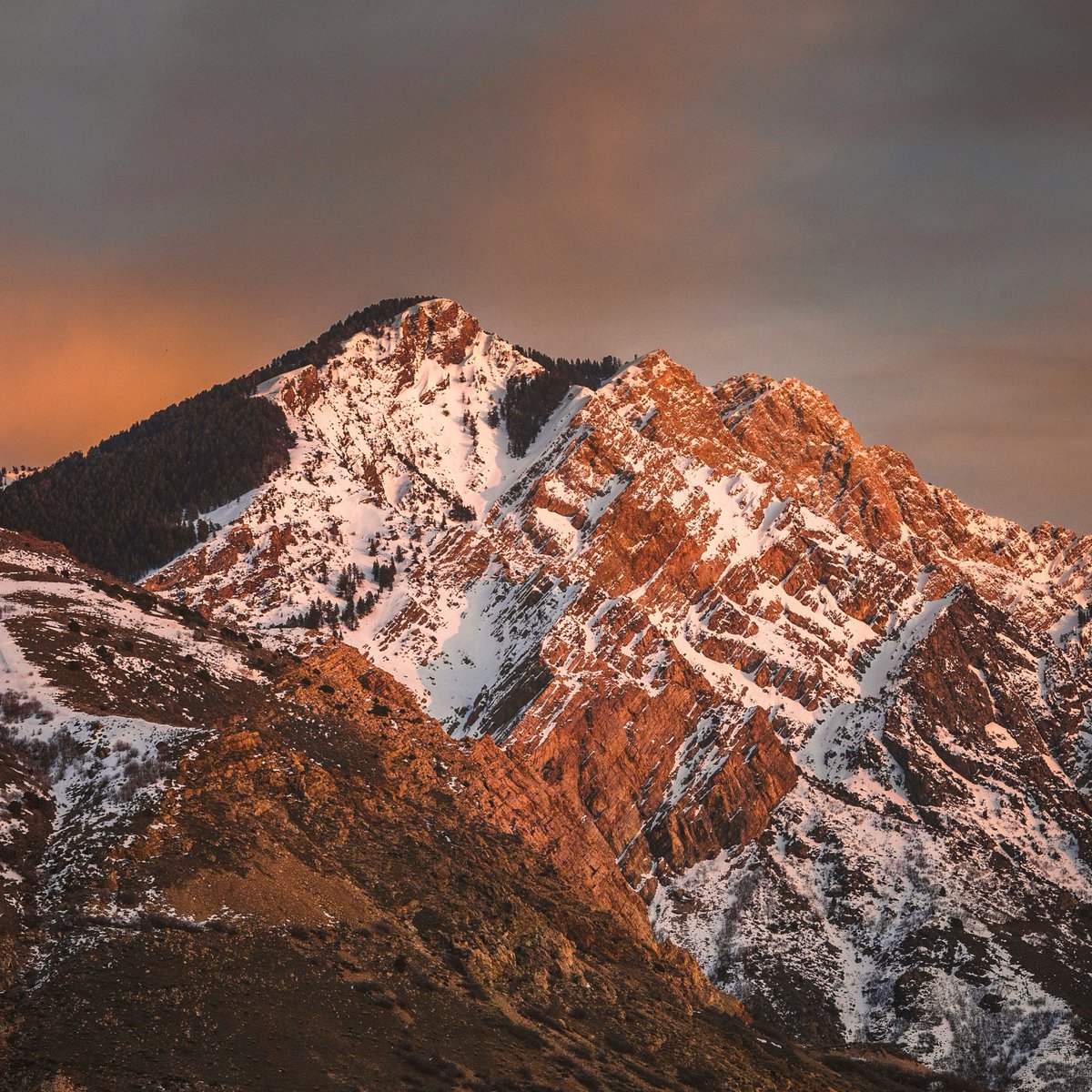 UtahIsAwesome's tweet photo. "Nature always wears the colors of the spirit." - Ralph Waldo Emerson
โฐ A snow covered mountain in northern Utah โฐ
#UtahPhotography #UtahMountains #UtahScenery #utah https://t.co/lYz4Pto3TK