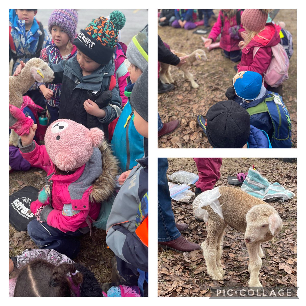 Mrs. C. GUA tweet media