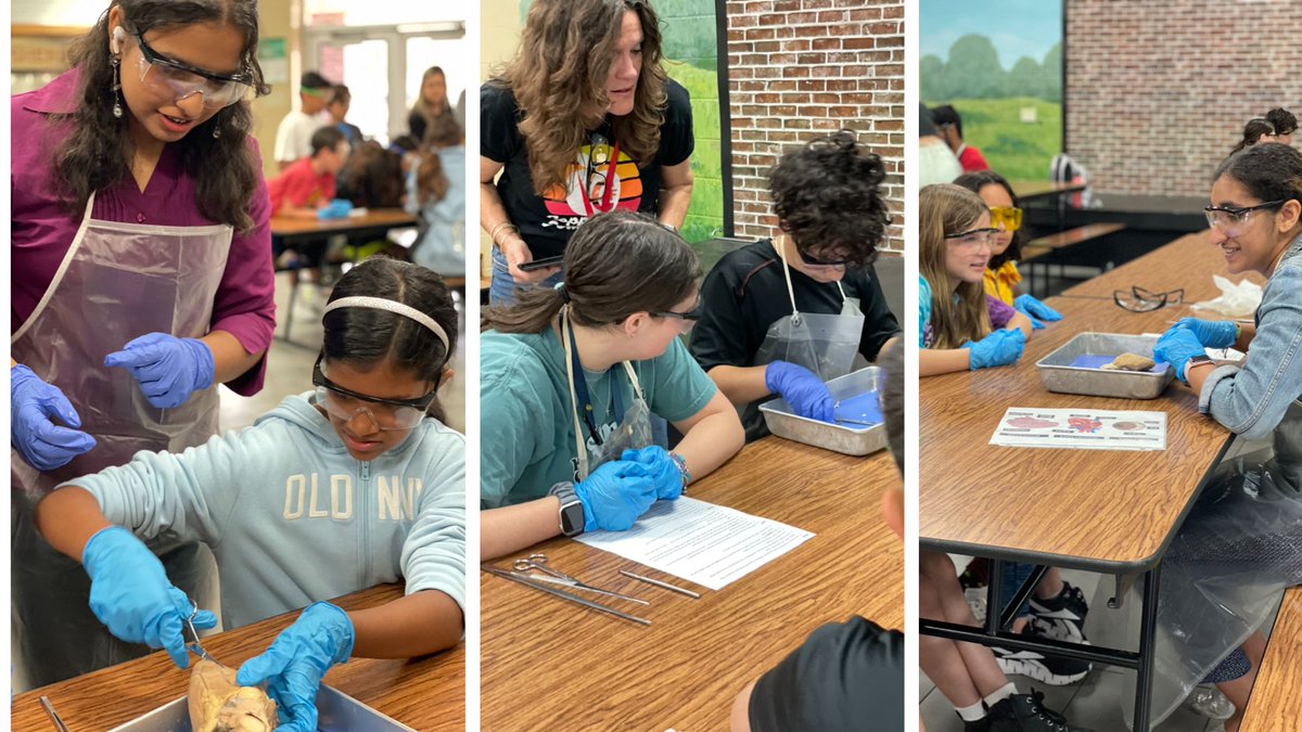 jdeinhammer's tweet photo. Anatomy students were inspiring future scientists and surgeons this morning at @gowilsonrangers #chsAP #cisdworkingtogether #CHSLearnLoveServe https://t.co/GQQWrf7my8