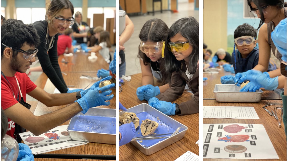Anatomy students were inspiring future scientists and surgeons this morning at <a href="/gowilsonrangers/">Wilson Elementary</a> #chsAP #cisdworkingtogether #CHSLearnLoveServe