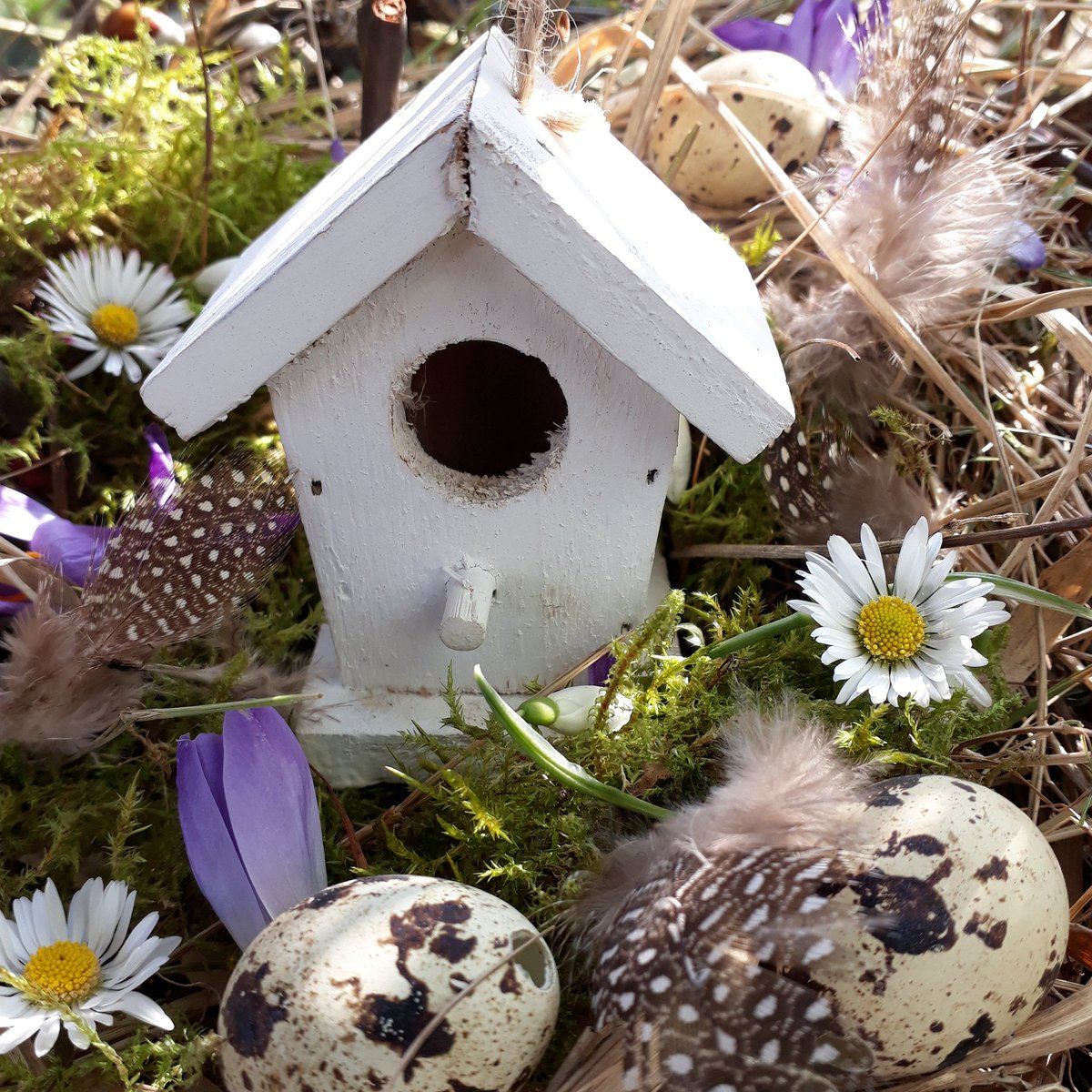 ¡Feliz Pascua desde #CasasCarbonell!  🐣🐣🌼 
•
•
•
#Casasdemadera #CasasPrefabricadas #casaclasica #clasica #CasaModular #CasaCCR #madera #wood #pascua #happyeaster #felizpascua #abril