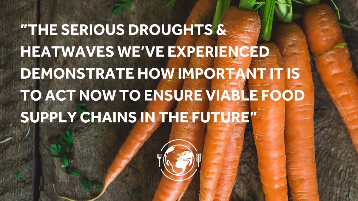 School of Sustainable Food and Farming (@thessff) on Twitter photo It’s world carrot day 🥕
Did you know we only produce enough fruit & veg for 1/3 of the population to eat 5-a-day?
<a href="/HarperAdamsUni/">Harper Adams University</a>’s <a href="/FreshProdRes/">Fresh Produce Research@HAU</a> <a href="/vegprof/">Jim Monaghan</a> are combatting fresh produce challenges
Find out more 👀
harper-adams.ac.uk/research/fprc/
#CarrotDay #worldcarrotday It’s world carrot day 🥕
Did you know we only produce enough fruit & veg for 1/3 of the population to eat 5-a-day?
<a href="/HarperAdamsUni/">Harper Adams University</a>’s <a href="/FreshProdRes/">Fresh Produce Research@HAU</a> <a href="/vegprof/">Jim Monaghan</a> are combatting fresh produce challenges
Find out more 👀
harper-adams.ac.uk/research/fprc/
#CarrotDay #worldcarrotday