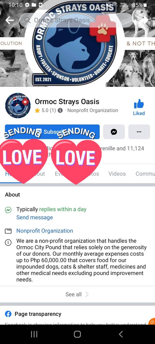ESBI191's tweet photo. Hi A'TIN!

I am knocking on your kind hearts again. Ormoc Stray Oasis (An NGO who helps stray dogs in Ormoc) needs extra funds for our lovely dogs. 

You may directly send your funds to them or to my gcash account so that we A'TIN ORMOC will deliver the goodies to our dogs... https://t.co/gqQdK5RUtl