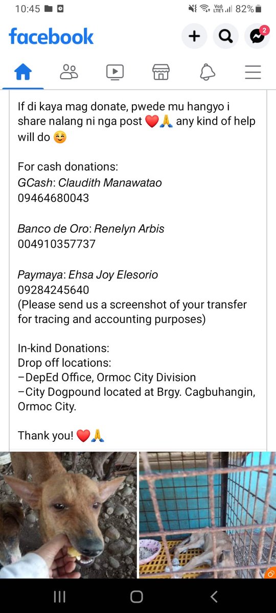 ESBI191's tweet photo. Hi A'TIN!

I am knocking on your kind hearts again. Ormoc Stray Oasis (An NGO who helps stray dogs in Ormoc) needs extra funds for our lovely dogs. 

You may directly send your funds to them or to my gcash account so that we A'TIN ORMOC will deliver the goodies to our dogs... https://t.co/gqQdK5RUtl