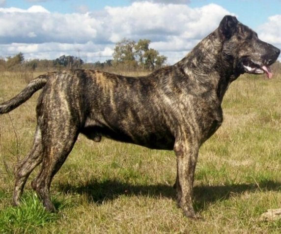 #Hipismo 
ESTE SERA MI LINEA 

LAS PRIMERA 5 PERSONAS QUE ACIERTEN ESTE NOMBRE LE PASARE MI INF COMPLETAMENTE GRATIS A DALARLE RT 
<a href="/TheAprendiz1/">EL APRENDIZ DEL HIPISMO</a> 
<a href="/marrpacheco/">rafael pacheco</a> 
EXITOS Y BENDICIONES