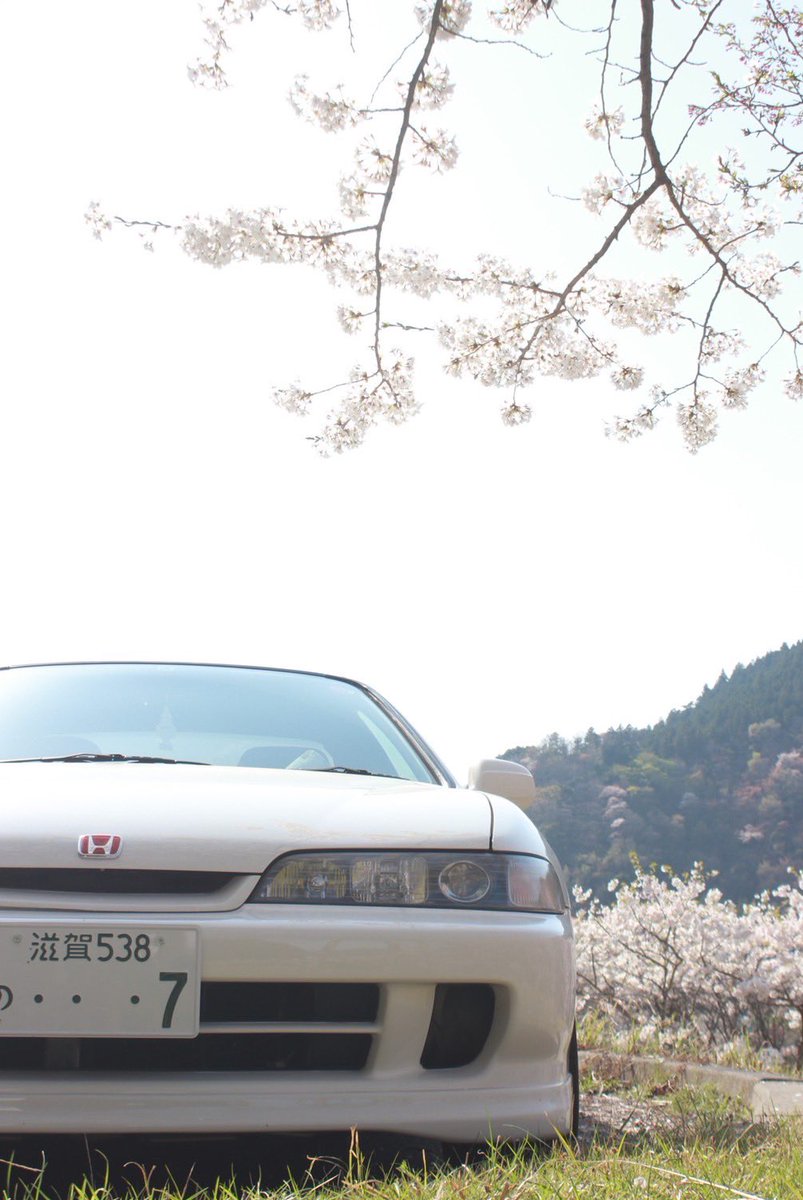nasubi319's tweet photo. #スポーツカー女子 #車好き女子 
#桜と愛車 #愛車と桜フォトコン https://t.co/KaNP0LRefg