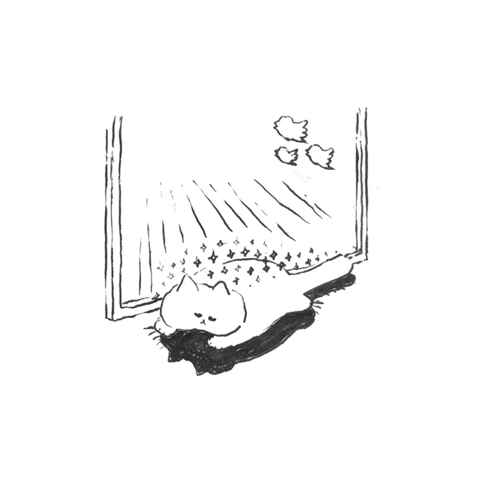 ねこ 