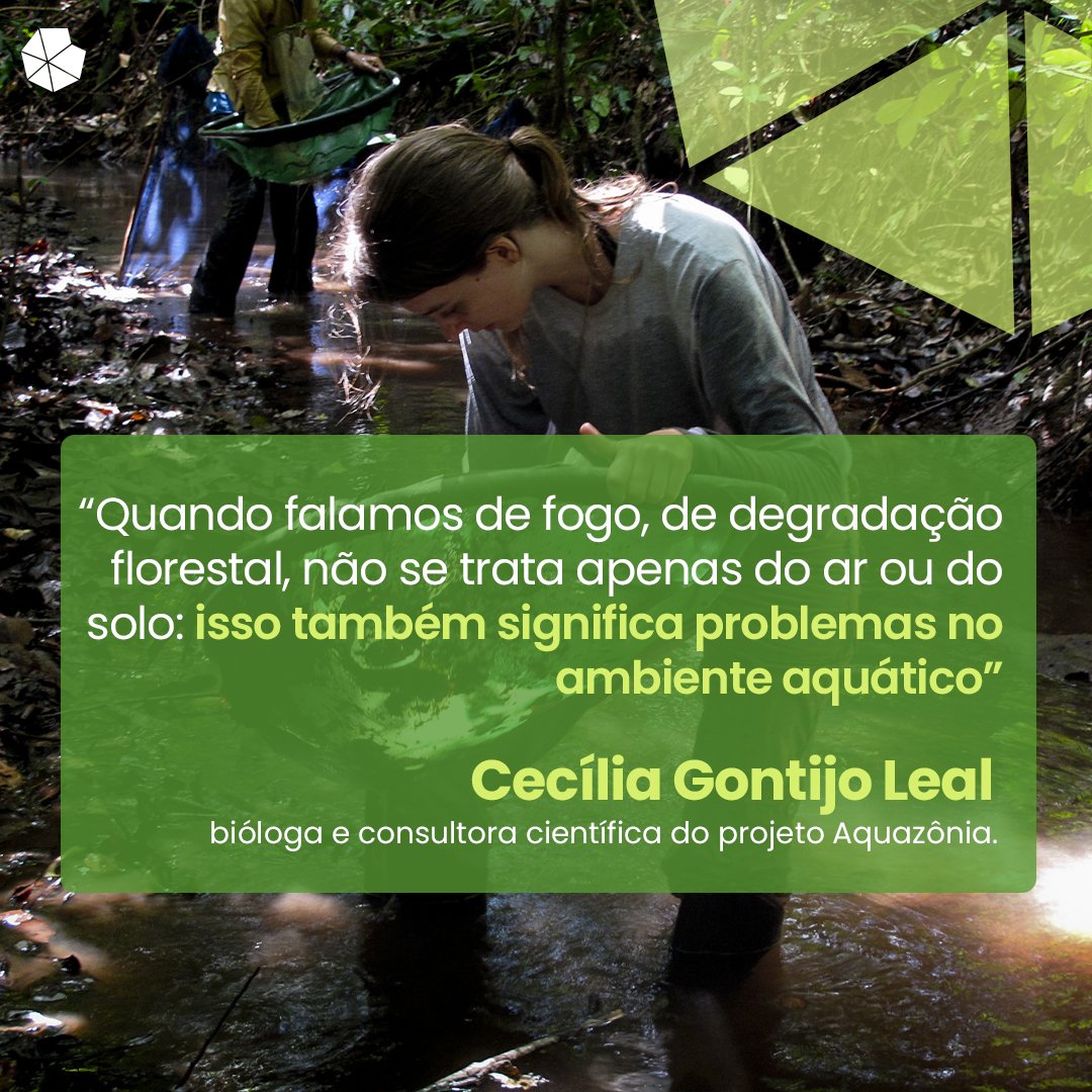 Um corpo hídrico não sofre apenas com a poluição causada pelos resíduos urbanos, mas também com todas as mazelas da atividade humana. É nosso dever proteger esse patrimônio natural.