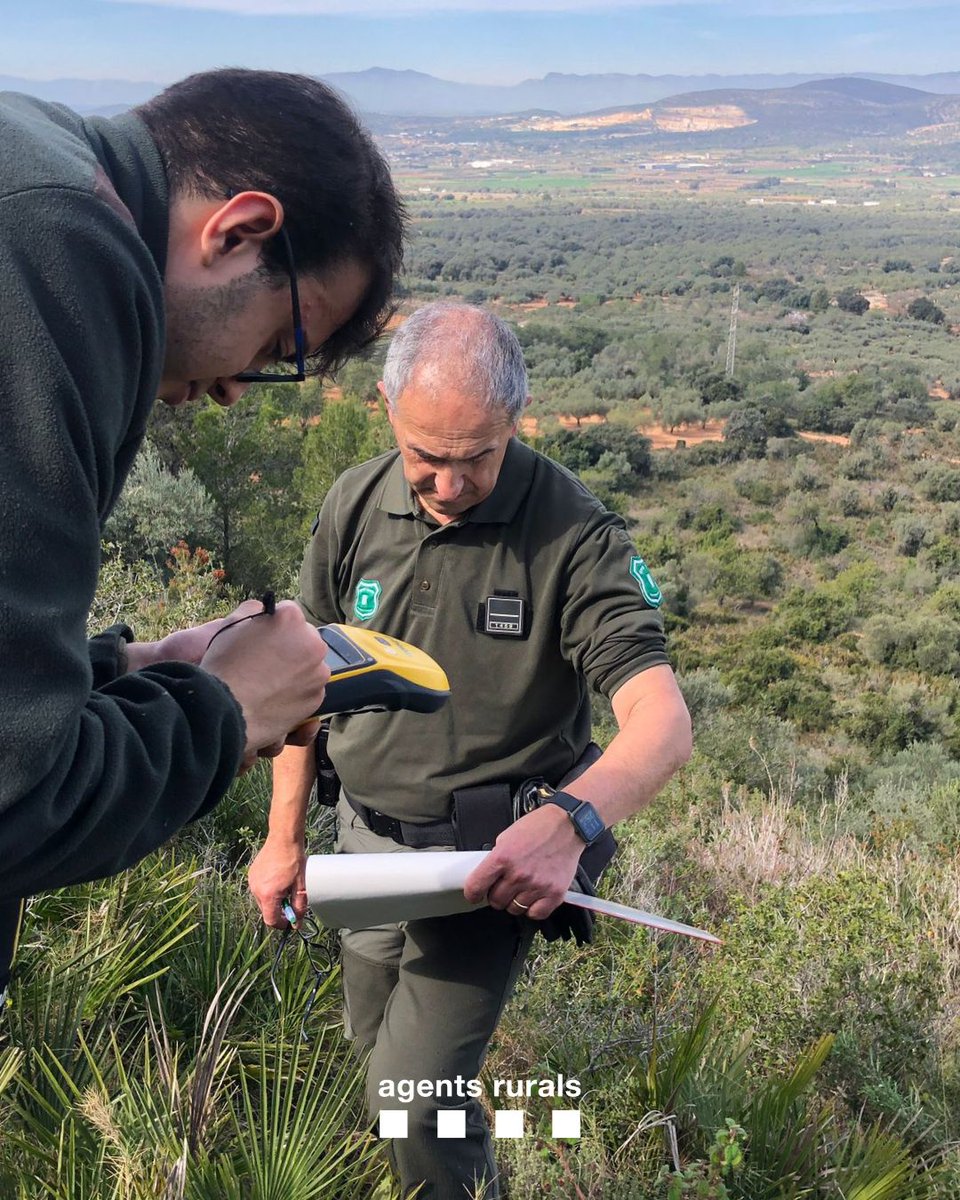 agentsruralscat's tweet photo. 🌿 Seguim fent mostreig de vegetació en el marc del projecte #Combuscat @ctforestal @accioclimatica
💻 Les dades extretes permeten fer un seguiment de la massa arbustiva i l'elaboració de mapes de vulnerabilitat dels boscos.
✅ Treballem en la prevenció dels #IIFF! https://t.co/ms0HyGYtmw
