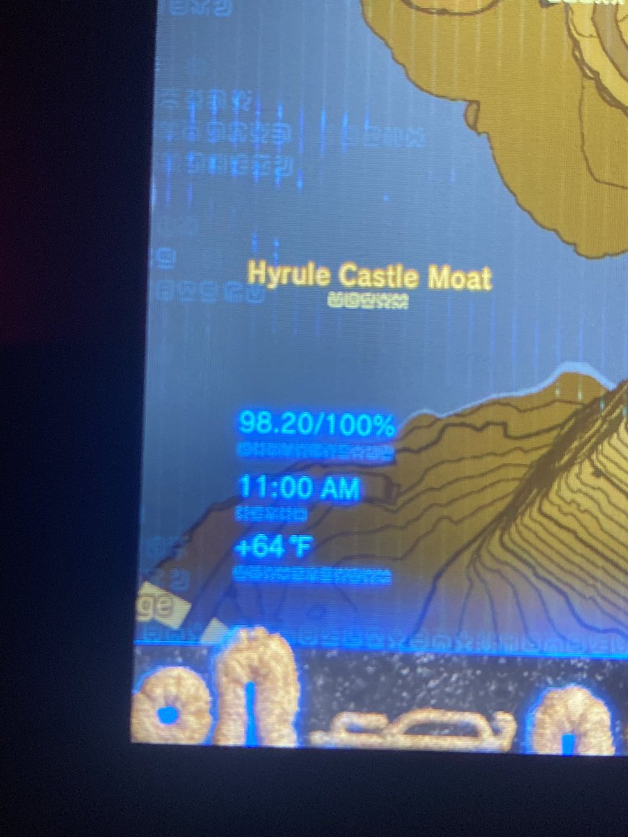 I AM MISSING 4 KOROK SEEDS BUT I HAVE CHECKED OFF ALL OF THE KOROK SEEDS I SHOULD BE AT 100% IM SO ANGERY