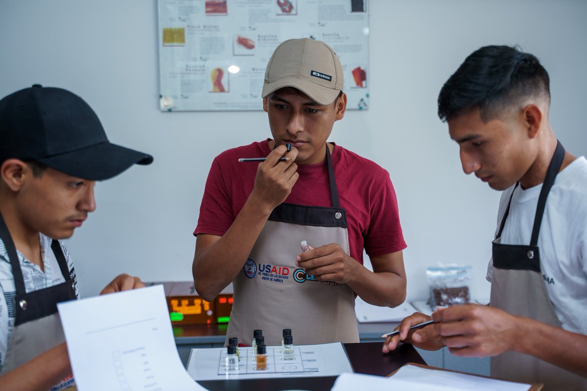 CafeCacaoPeru's tweet photo. La Central Café & Cacao y el #ProyectoCCE🍒 apuestan por convertir a caficultores en catadores en el programa “Aprendiendo a catar mi café” donde participan más de 20 productores de distintas cooperativas en el campus Salsipuedes - Chanchamayo, gracias al apoyo de @USAIDPeru. https://t.co/6B60Mog8KS