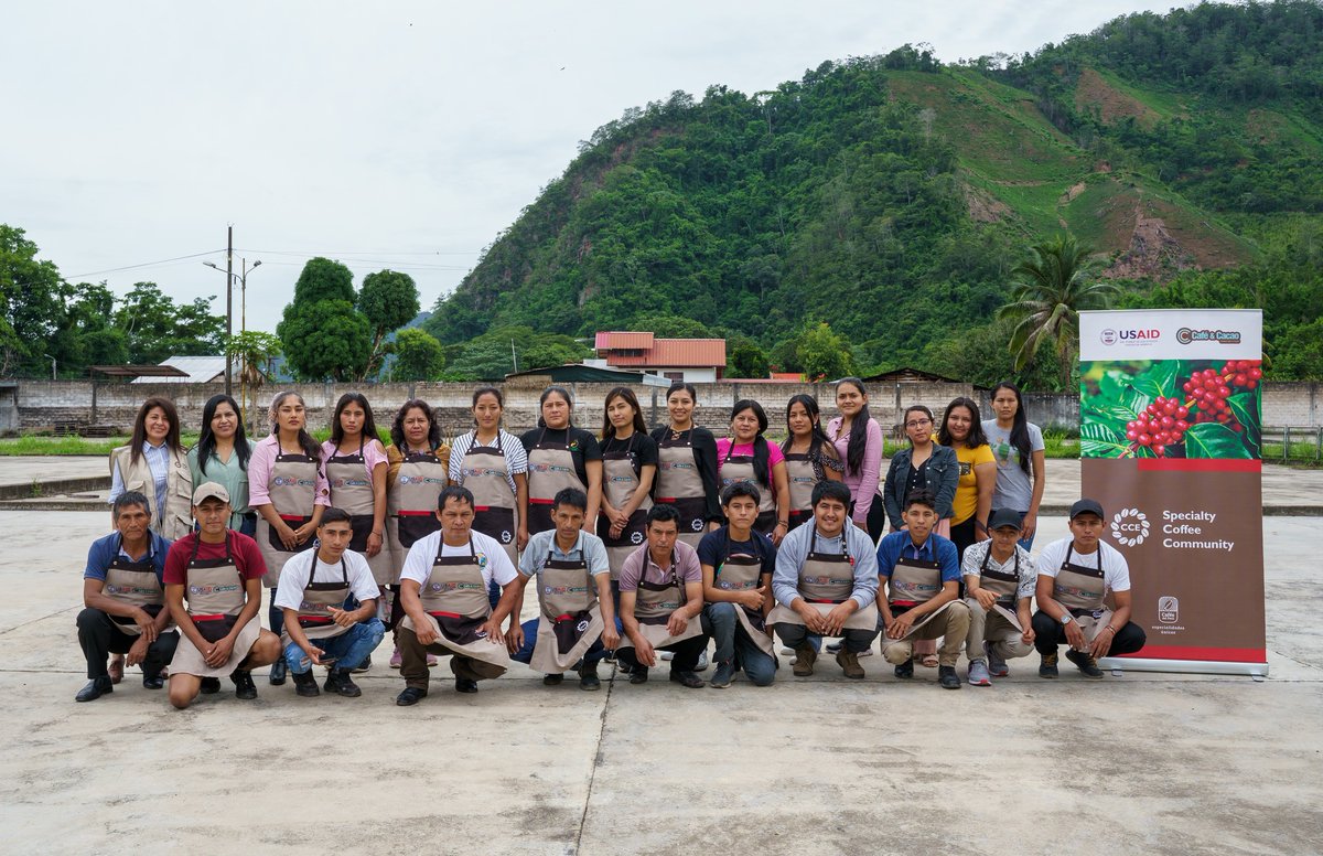 CafeCacaoPeru's tweet photo. La Central Café & Cacao y el #ProyectoCCE🍒 apuestan por convertir a caficultores en catadores en el programa “Aprendiendo a catar mi café” donde participan más de 20 productores de distintas cooperativas en el campus Salsipuedes - Chanchamayo, gracias al apoyo de @USAIDPeru. https://t.co/6B60Mog8KS