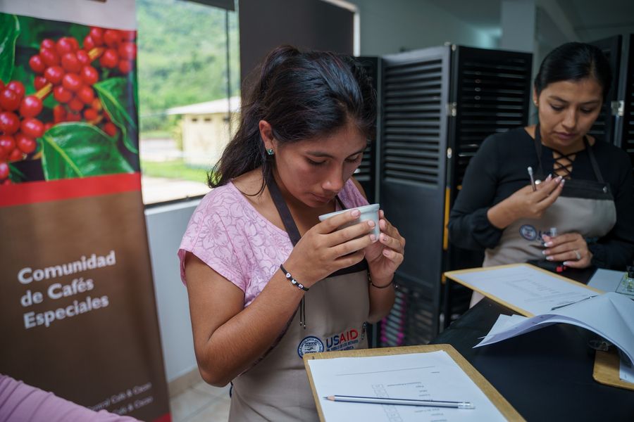 CafeCacaoPeru's tweet photo. La Central Café & Cacao y el #ProyectoCCE🍒 apuestan por convertir a caficultores en catadores en el programa “Aprendiendo a catar mi café” donde participan más de 20 productores de distintas cooperativas en el campus Salsipuedes - Chanchamayo, gracias al apoyo de @USAIDPeru. https://t.co/6B60Mog8KS
