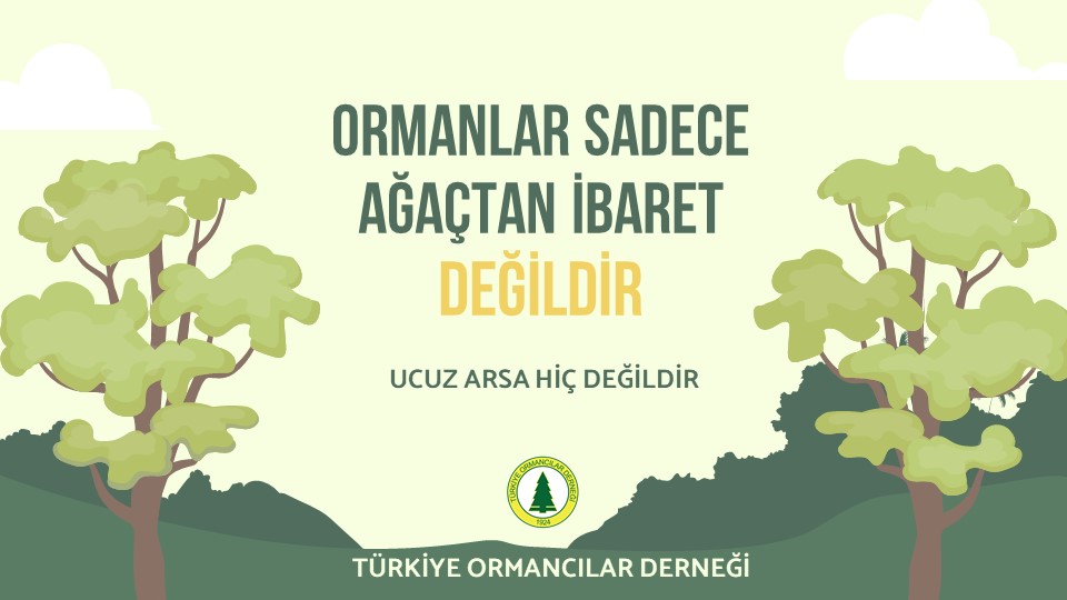 ormancilarderne's tweet photo. Seri 4 - Ormanlarda Neler Oluyor ? Ormanlarda olan biteni daha yüksek sesle dile getireceğiz. Ormanlar arka bahçe değildir. 
TÜM SİYASİ PARTİLERE ÇAĞRI
#ormanlarsahipsizdeğil #tümsiyasilerduysun @husrevozkara  @VahitKirisci @BekirKARACABEY_ @OGMgovtr @TCTarim @RTErdogan https://t.co/0U8F5Fr2ky